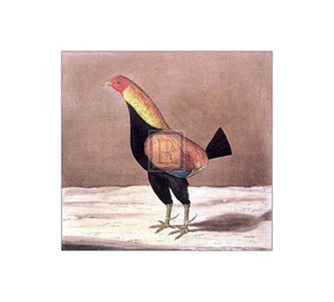 Framed Yorkshire Hero Print