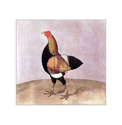 Framed Enomenon Print