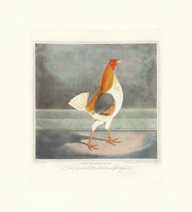 Framed Cheshire Pile Print