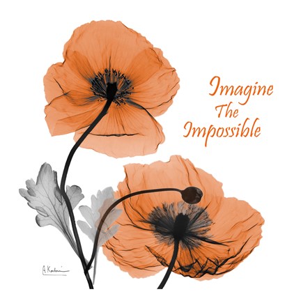 Framed Iceland Poppy Quote Print