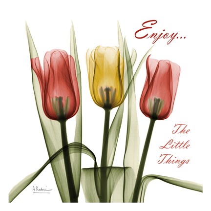 Framed Tulips Enjoy The Little Things Print