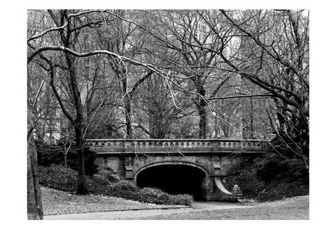 Framed Central Park Bridge 2 Print