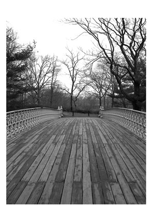 Framed Central Park Bridge 4 Print
