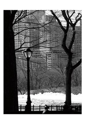 Framed Central Park Concrete Forest Print