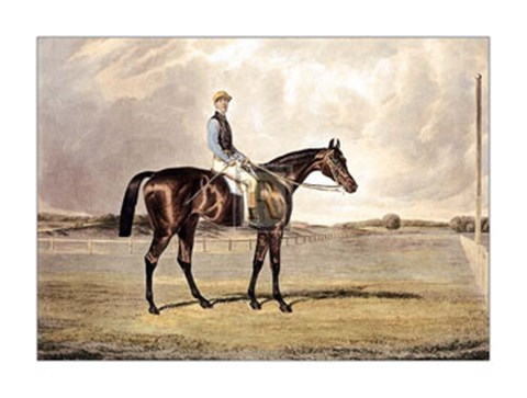 Framed Saucebox Print