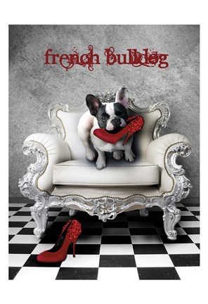 Framed French Princess Bulldog 82453 Print