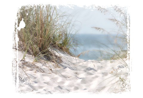 Framed PrintCoastal Photography 4 Print