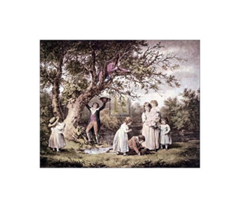 Framed Birdnesting Print