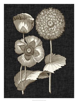 Framed Dramatic Chintz III Print