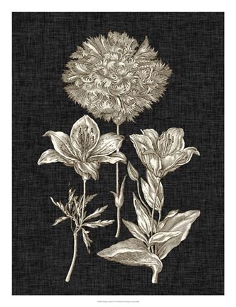 Framed Dramatic Chintz IV Print