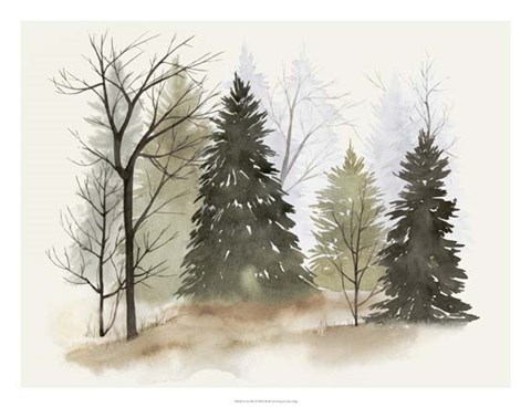 Framed In the Mist II Print