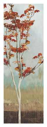 Framed Maple Tree II Print