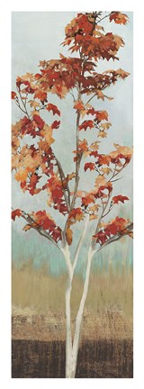 Framed Maple Tree III Print