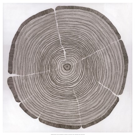 Framed Tree Lines Print