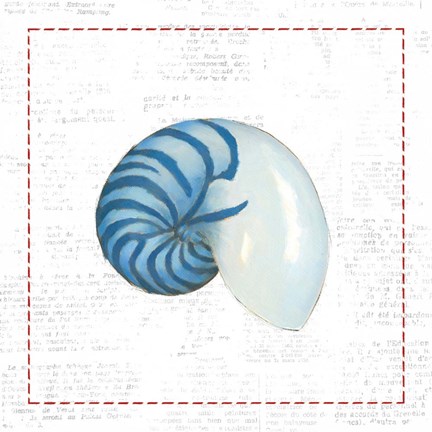 Framed Navy Nautilus Shell on Newsprint with Red Print