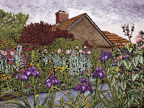 Framed Purple Iris Print