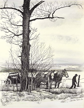 Framed Fenceline Print