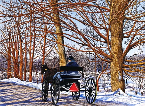 Framed Buggy Ride, Leon, NY Print