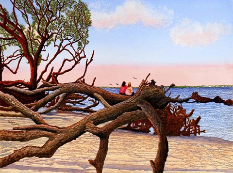 Framed Driftwood Dreamers, Jekyll Island, Ga Print