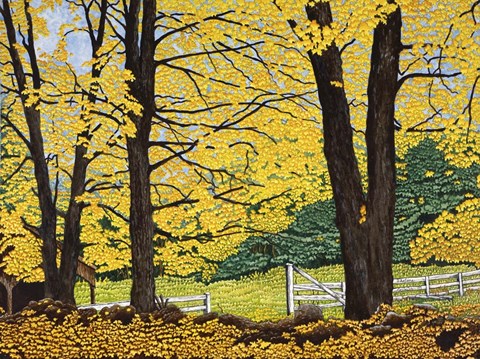 Framed Golden Day, New Hampshire Print