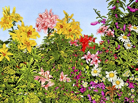 Framed Lovely Lillies Print