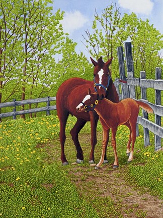 Framed Mother&#39;s Love, Machias Ny Print