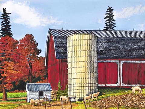 Framed Sheep, Perry Ny Print