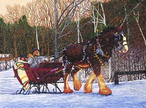 Framed Sleigh Ride At Letchworth Park, Ny Print