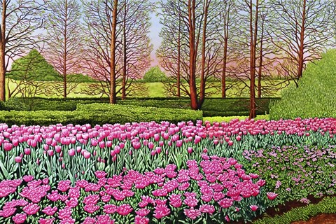 Framed Tulips At Longwood Gardens I, Kennett Square Pa Print