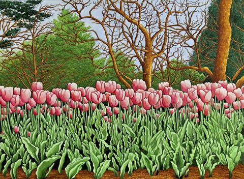 Framed Tulips At Longwood Gardens Vi, Kennett Square, Pa Print
