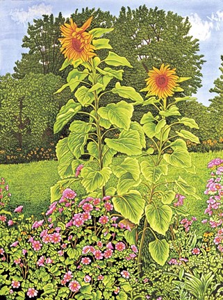 Framed Tulips At The Pump, Nunda Ny Print