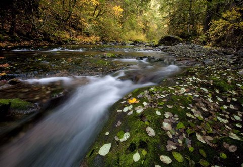 Framed Rushing Best Print