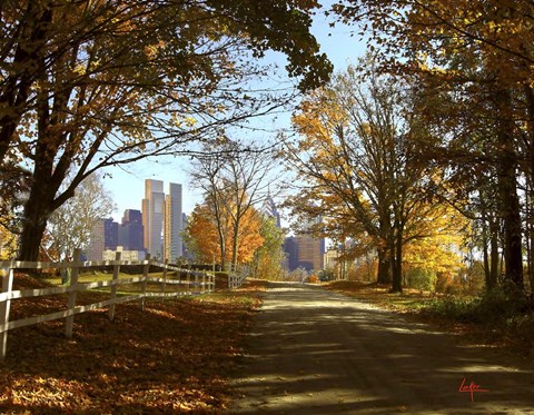 Framed Skyline 2 Print