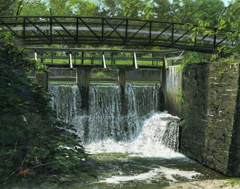 Framed Overflow Gate Print