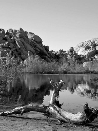 Framed Joshua Tree Lake with Log BW Print