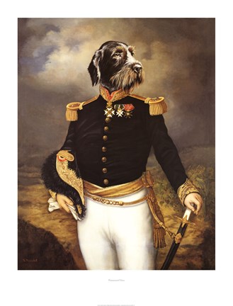 Framed Ceremonial Dress Print