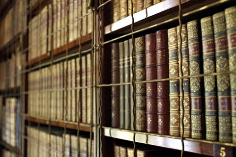 Framed Library Bookcases Print