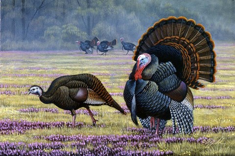 Framed Commanding Attention Print