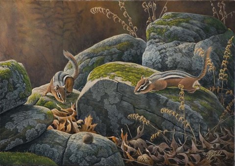 Framed Eye On The Prize Print