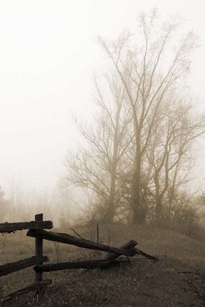 Framed Early Morning I Print