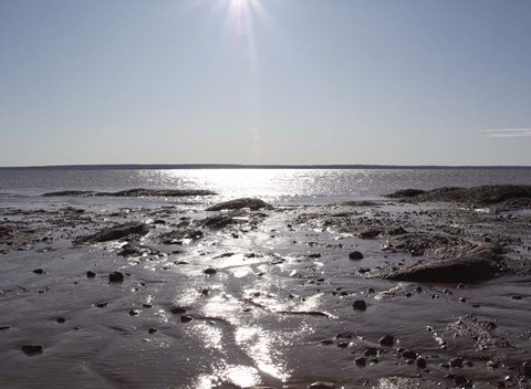 Framed Atlantic Skies II Print