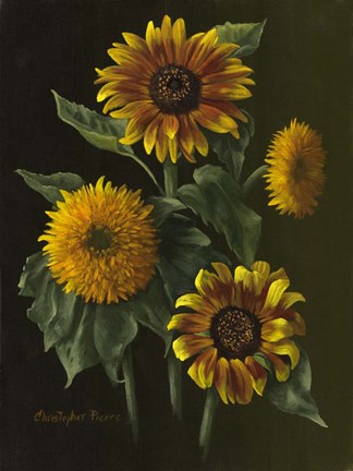 Framed Four Sunflowers Print