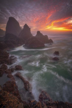 Framed Christmas Sunset Print