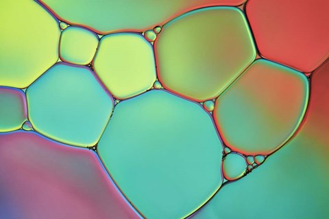 Framed Stained Glass III Print