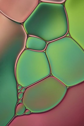 Framed Stained Glass V Print