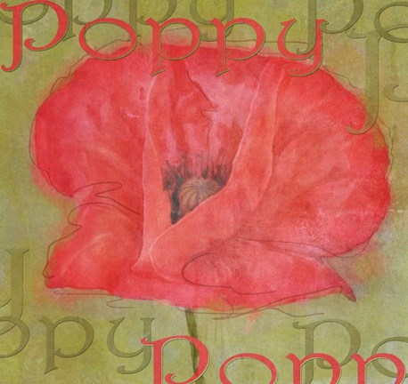 Framed Poppy Print