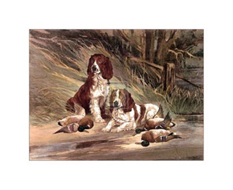 Framed Duck Today-Tomorrow ? Print