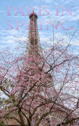 Framed Eiffel Tower with Blossoming Cherry Print