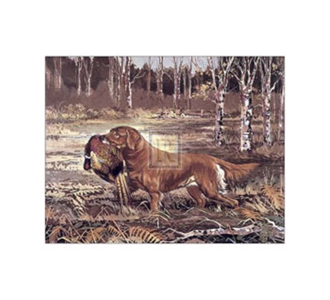 Framed Golden Retriever Print