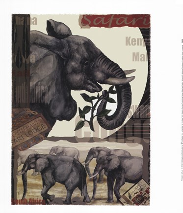 Framed Elephant Safari Print